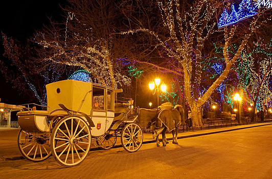 马车,圣诞装饰,敖德萨,夜晚,乌克兰,欧洲