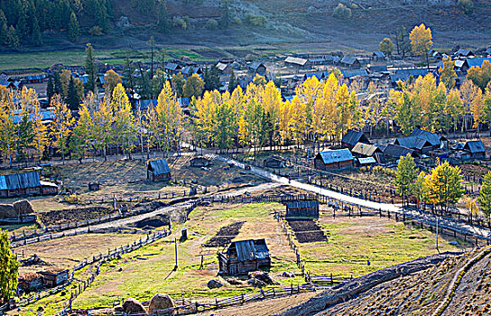 新疆阿勒泰喀纳斯秋天的小村庄