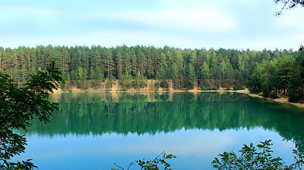 漂亮,湖,树林