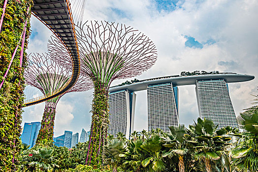 桥,树,小树林,花园,湾,未来,市立公园,建筑师,码头,沙,酒店,后面,城市核心区,新加坡,亚洲
