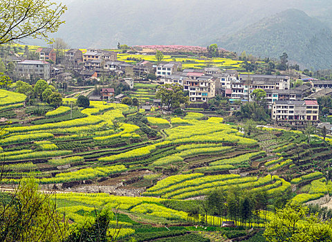 山村春色