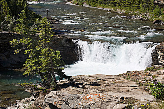 瀑布,石头,石台,艾伯塔省,加拿大