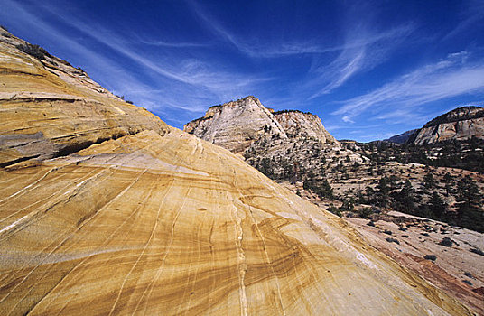 岩石构造,干燥地带,锡安国家公园,犹他,美国