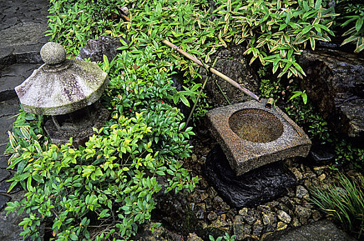 日本,京都,金阁寺,庙宇,花园,饮水器,竹子,石头,器具