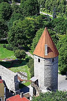 塔,城墙,西部,城镇,教堂,塔林,爱沙尼亚,欧洲