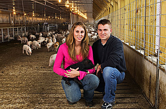 牲畜,年轻,猪肉,妻子,姿势,拿着,猪,室内,设施,后面,靠近,宾夕法尼亚,美国