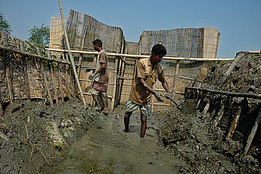 渔民,制作,水,大门,农场,海水,进入,乡村,地区,库尔纳市,分开,孟加拉,2007年