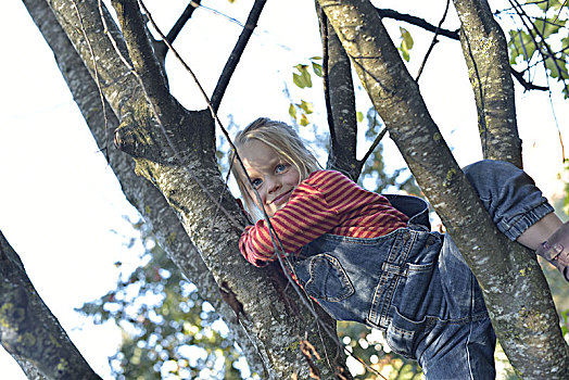 女孩,树,攀登,特写