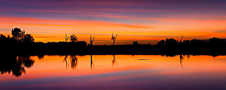 黄色,水,湿地,泻湖,日落,卡卡杜国家公园,北领地州,澳大利亚