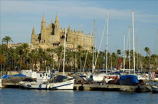 渔船,港口,大教堂,马略卡岛,西班牙