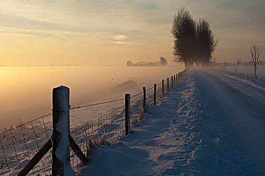 乡间小路,冬天,荷兰