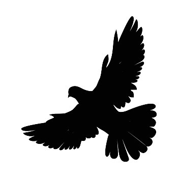 鸽子,设计,矢量,插画,宗教,婚礼,平和,和平主义,概念,黑色,孩子,书本,白色,飞,展翅,隔绝,白色背景