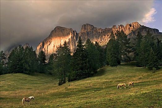 红岩,脸,山丘,放牧,高山牧场,湖,意大利
