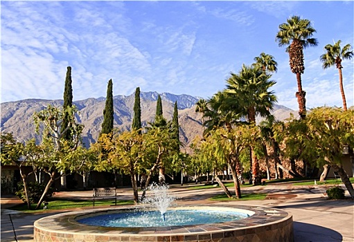 扇形棕榈,树,蓝色,喷泉,棕榈泉,加利福尼亚
