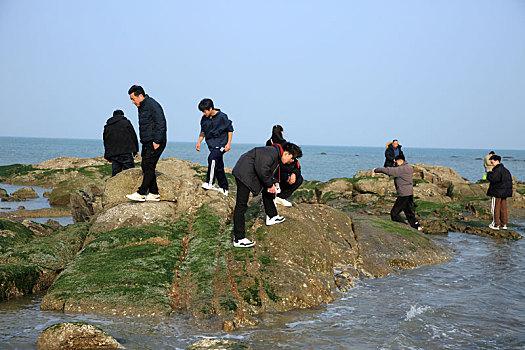 阳春三月暖意浓,游客漫步海滩放飞心情