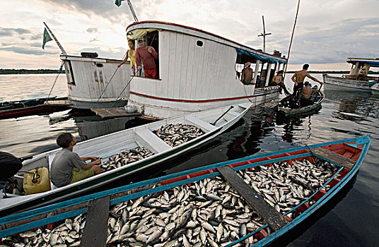 渔民,水上市场,里奥内格罗,亚马逊,巴西