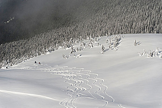 滑雪者,山,不列颠哥伦比亚省,加拿大