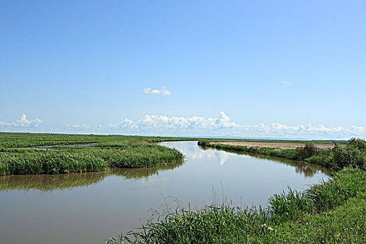 沼泽性湿地