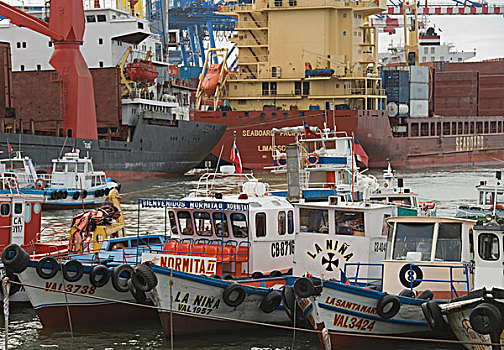 排,彩色,渔船,前景,运输,船,背景,瓦尔帕莱索,智利