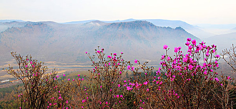 仙翁山风景