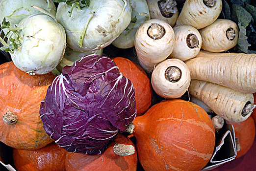 蔬菜,特色食品,好,食物,2008年,奥林匹亚