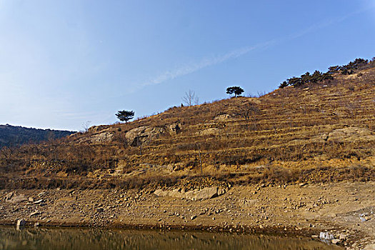 乡村风景