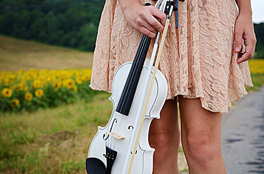 一个,美女,小提琴,乐弓