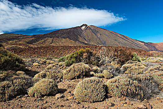 火山,泰德国家公园,加纳利群岛,特内里费岛,西班牙,欧洲