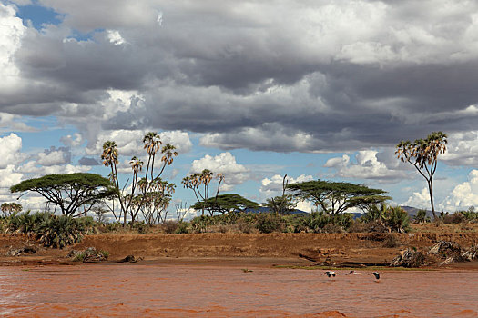 河,肯尼亚