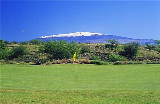 夏威夷,夏威夷大岛,柯哈拉海岸,哈普纳高尔夫球场,绿色