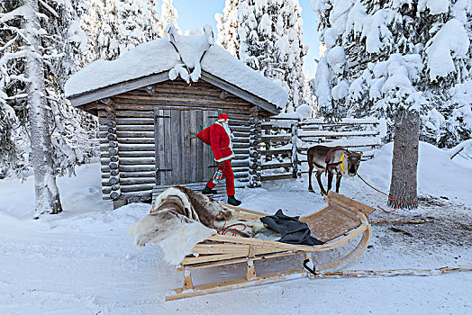 圣诞老人,雪撬,库萨莫,北方,区域,拉普兰,芬兰