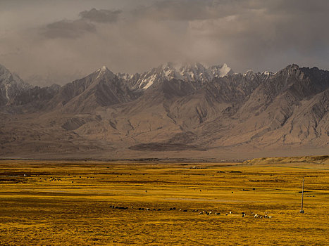 风景,中国,新疆