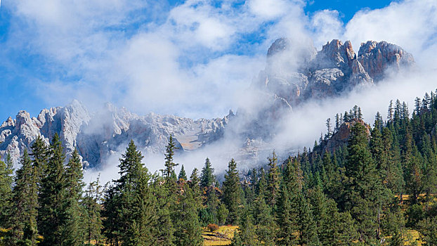 航拍雨后的森林和雪山