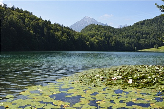 高山,湖