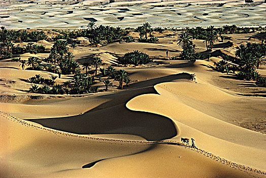 阿尔及利亚,沙丘