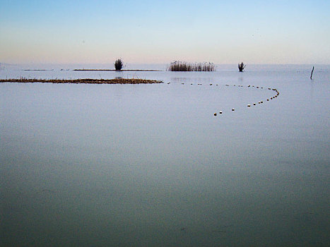 东太湖湿地风光