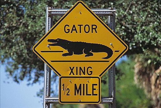 路标,交通标志,鳄鱼,佛罗里达,美国,北美