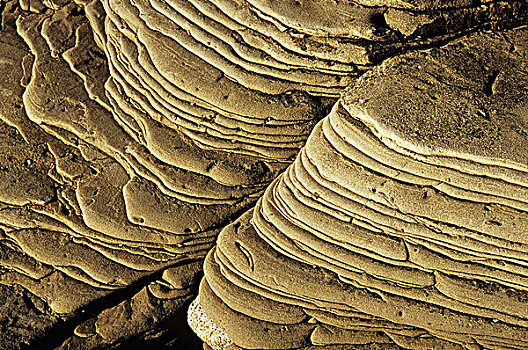 砂岩构造,岛屿,自然保护区,不列颠哥伦比亚省,加拿大