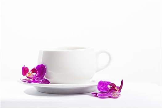 咖啡杯,粉色,兰花