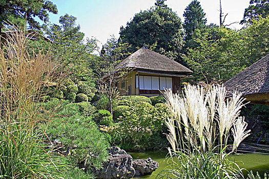 日本,京都,茶馆,冬天,季节