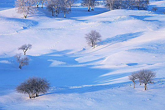 冬季草原雪景