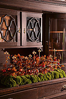 喜庆,安放,红色浆果,黄铜,茶烛,固定器具,苔藓,柜橱
