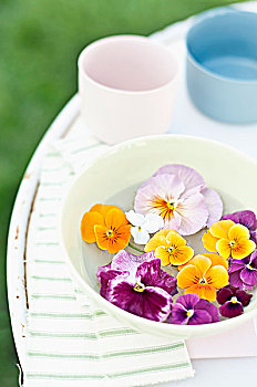 三色堇,堇菜属,漂浮,碗,花园桌