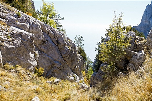 峡谷,山,黑色背景,海岸