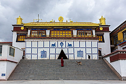 动物僧侣寺院