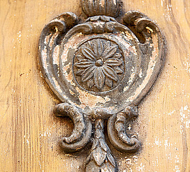门,意大利,老,木头,传统,纹理,钉子