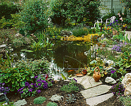 花园,水塘