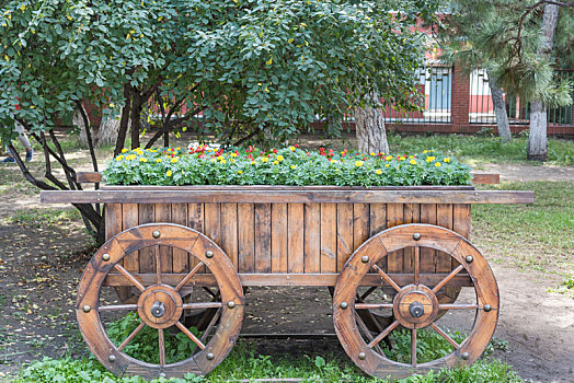 中国沈阳公园花卉园艺复古木车