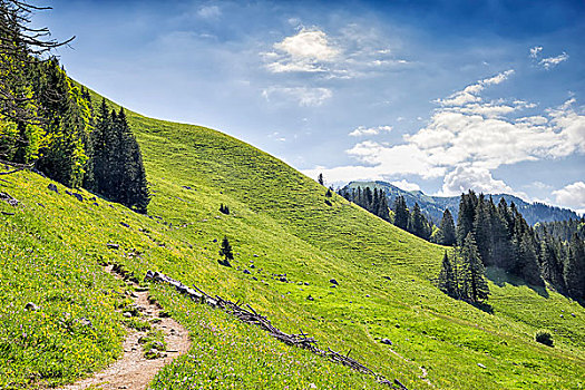 小路,巴伐利亚,阿尔卑斯山