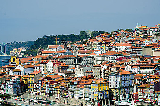 风景,波尔图,葡萄牙,鲜明,夏天